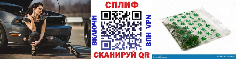 Конопля марихуана Кущёвская